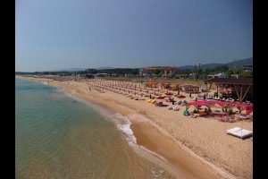 Градина
